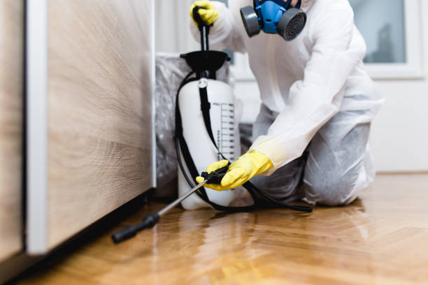 Best Exterminator Services  in Jasper, GA