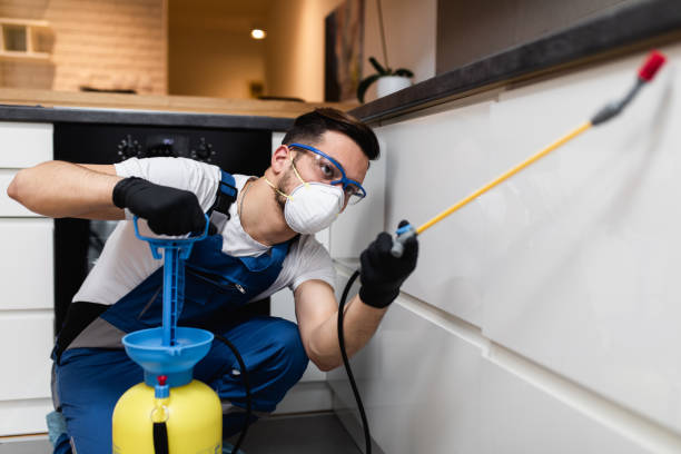 Best Pest Removal Services  in Jasper, GA