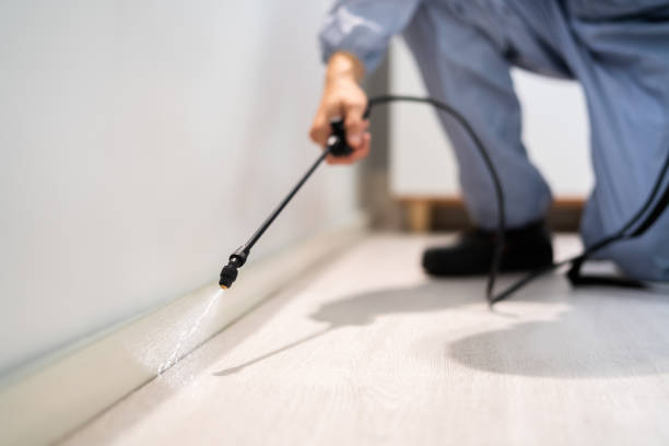 Flea Control Services in Jasper, GA