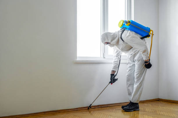 Best Wasp Removal Services  in Jasper, GA